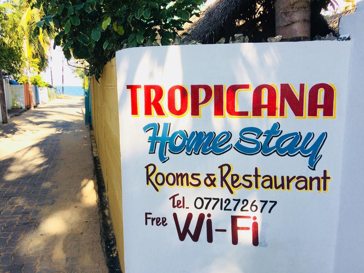 Tropicana Home Stay Аругам Экстерьер фото