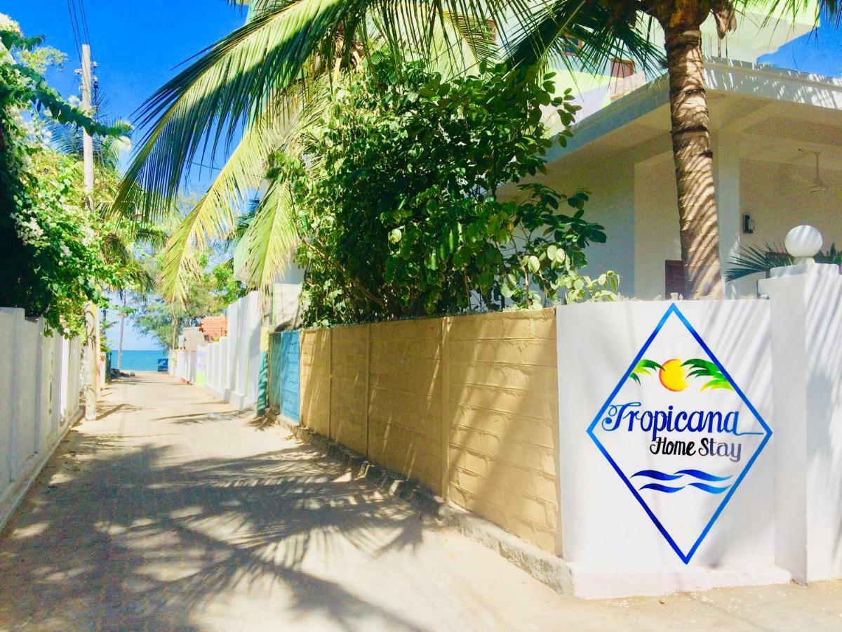 Tropicana Home Stay Аругам Экстерьер фото